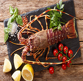 Jumbo Lobster 3/4 pc in 1 kg